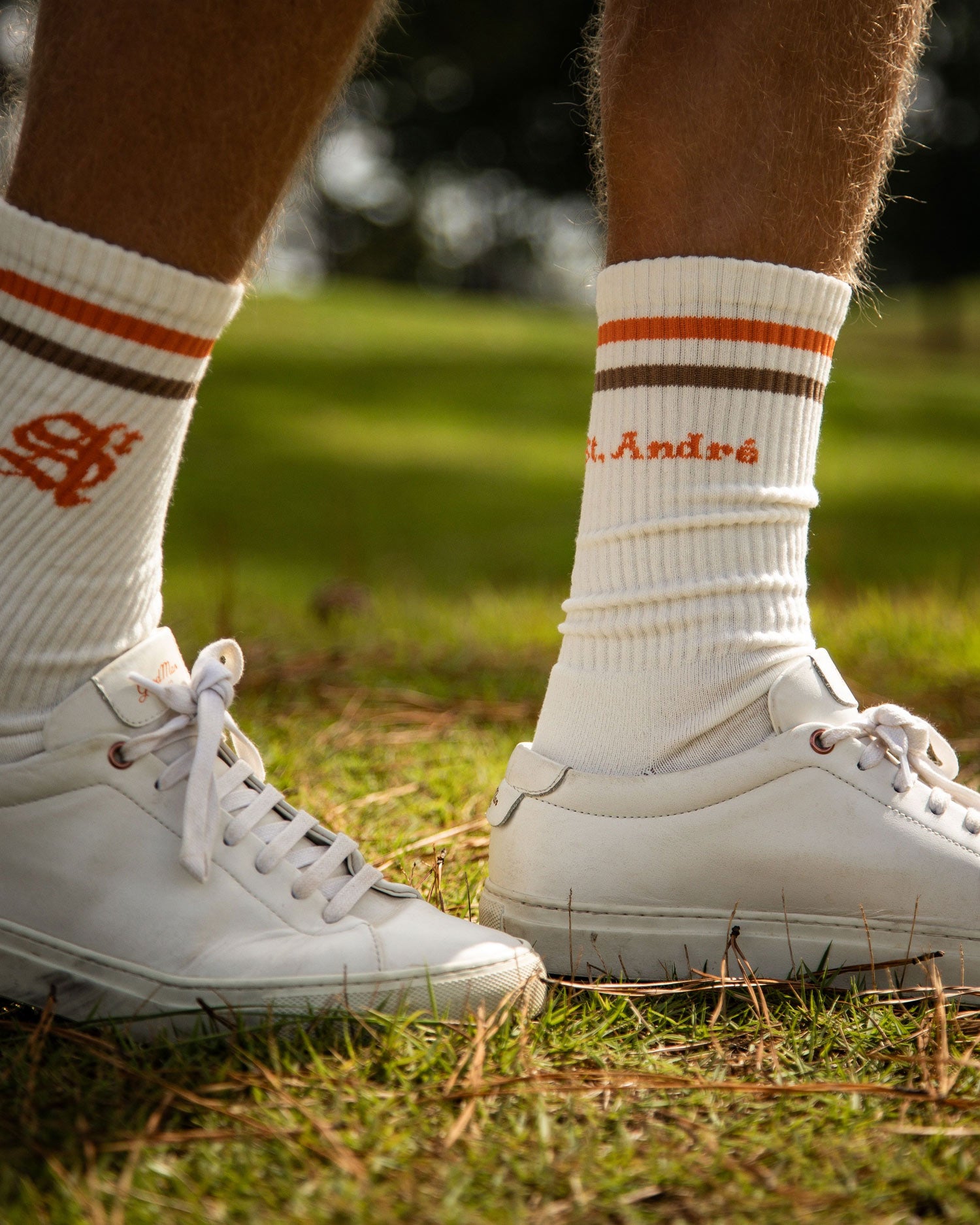 New- Home Page – St. André Golf